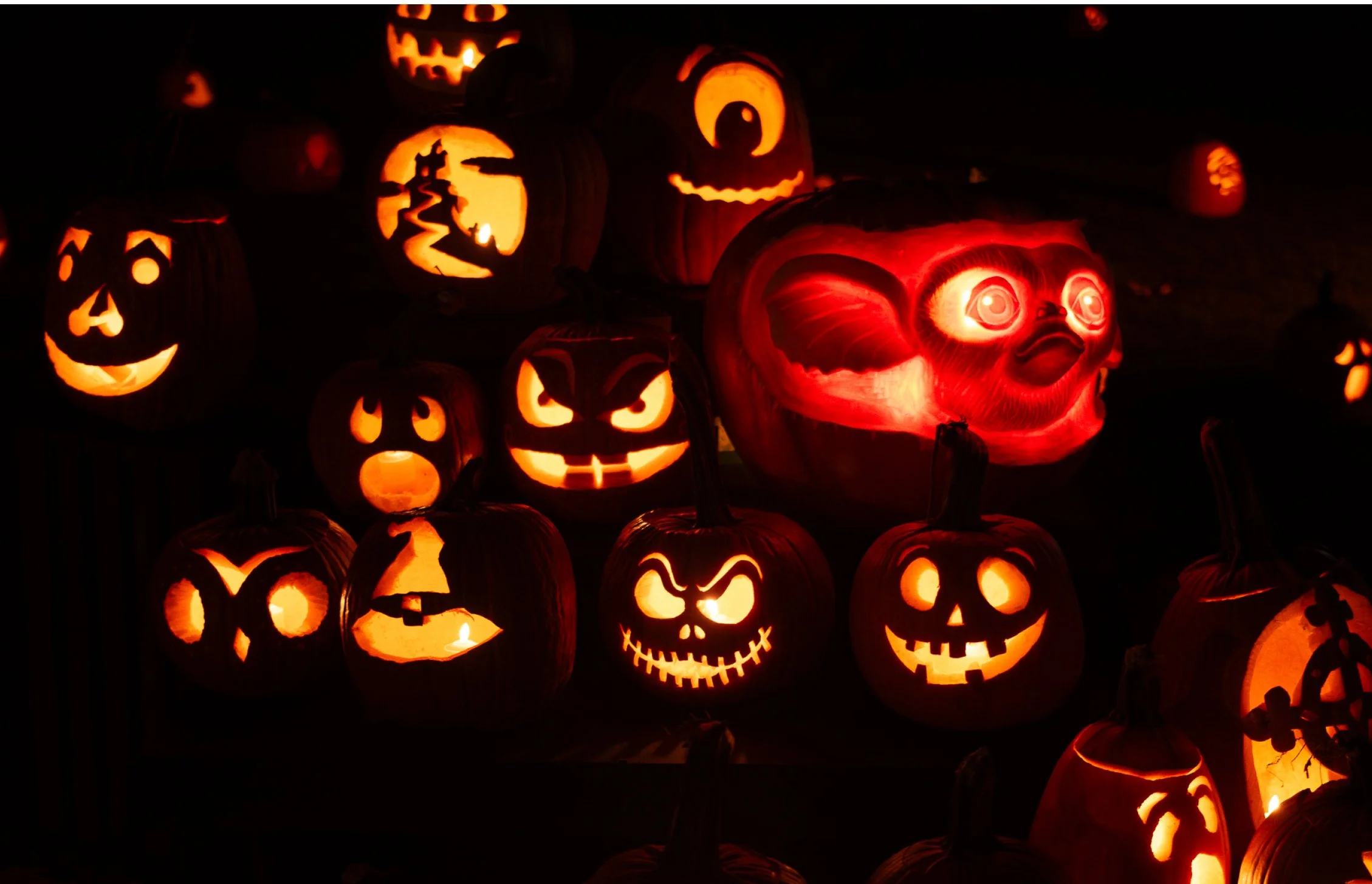 Illuminated jack-o’-lanterns and sculptures at Garden Glow in Ladew Gardens