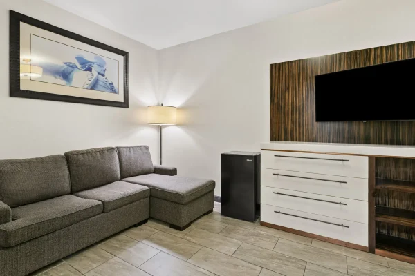 King Suite living room sontesa baltimore